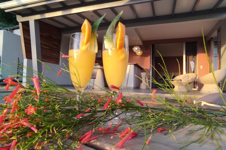 Suite vue mer formule hôtel - La décoration de la piscine